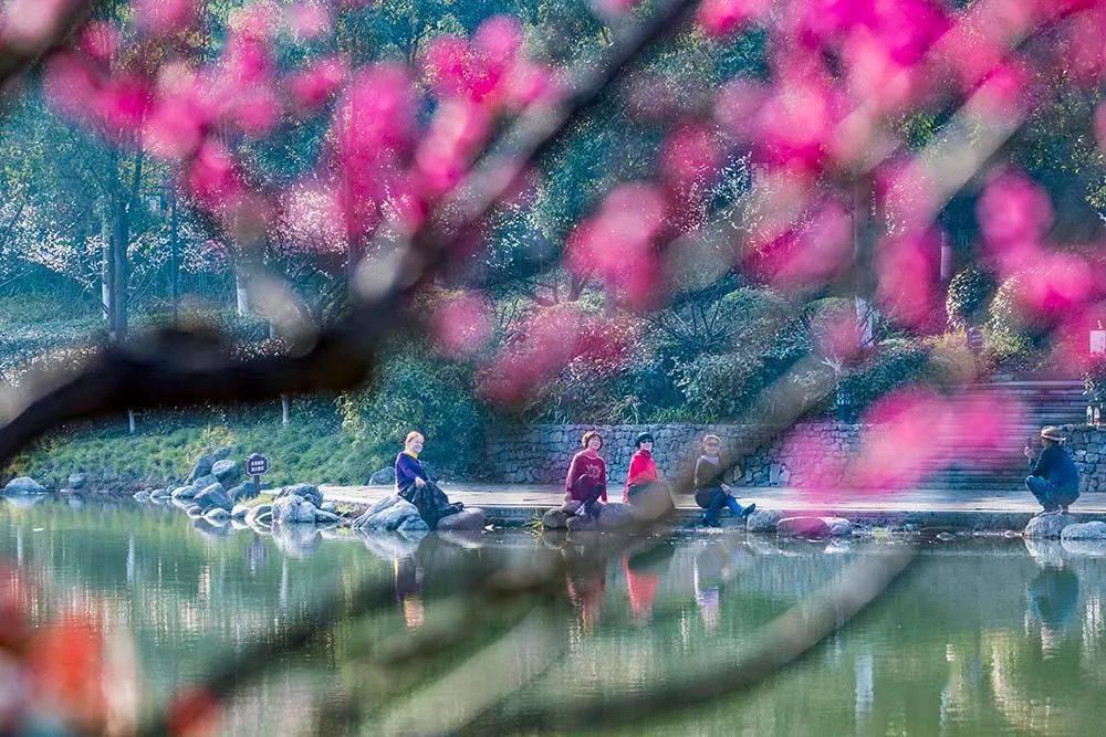 召唤神龙万宁版祖龙