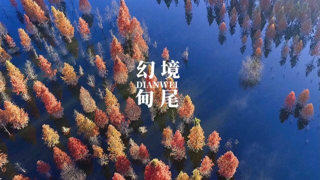 救援金刚狼