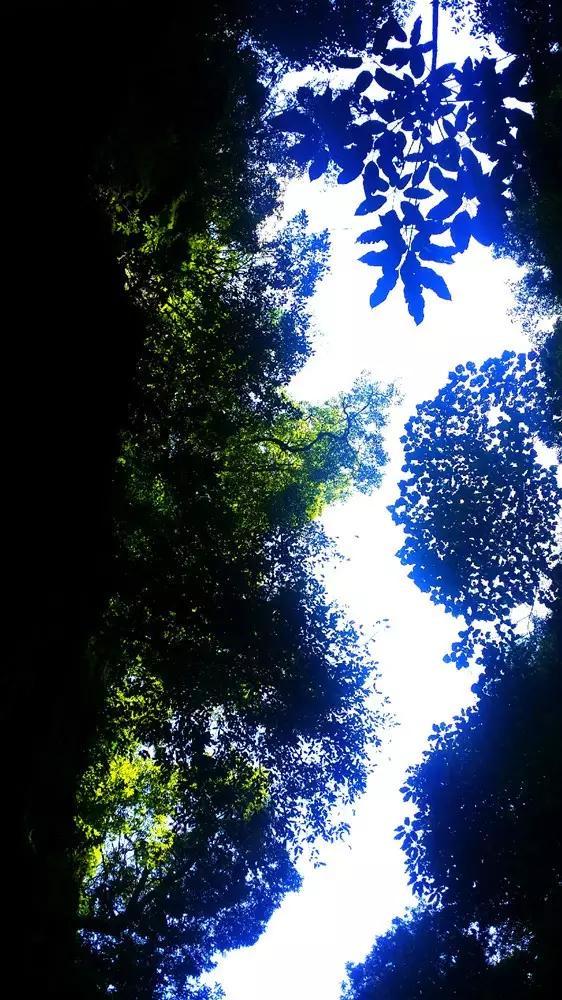减肥营中去世签署免责协议可免责吗？游戏画面