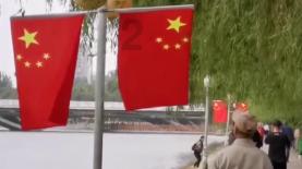 可爱的蜗牛拼图