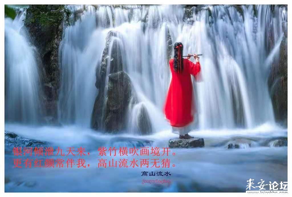 解救野生狐狸