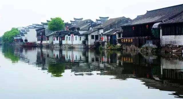 战僵特警